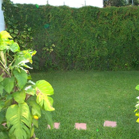 Beautiful Jungle House On A Strategic Location Villa Cancún Exteriör bild