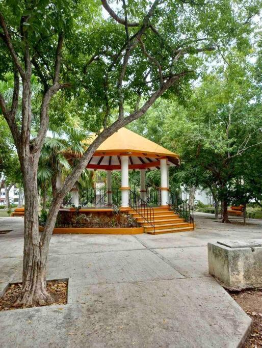 Beautiful Jungle House On A Strategic Location Villa Cancún Exteriör bild