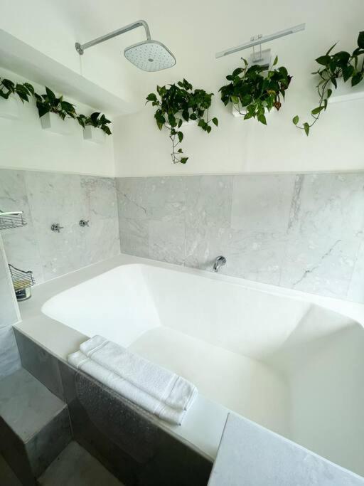 Beautiful Jungle House On A Strategic Location Villa Cancún Exteriör bild